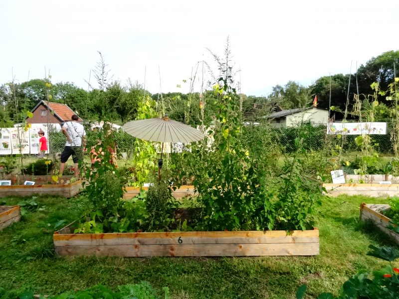 Jugendpflege Hemmingen Der geheimnisvolle Garten